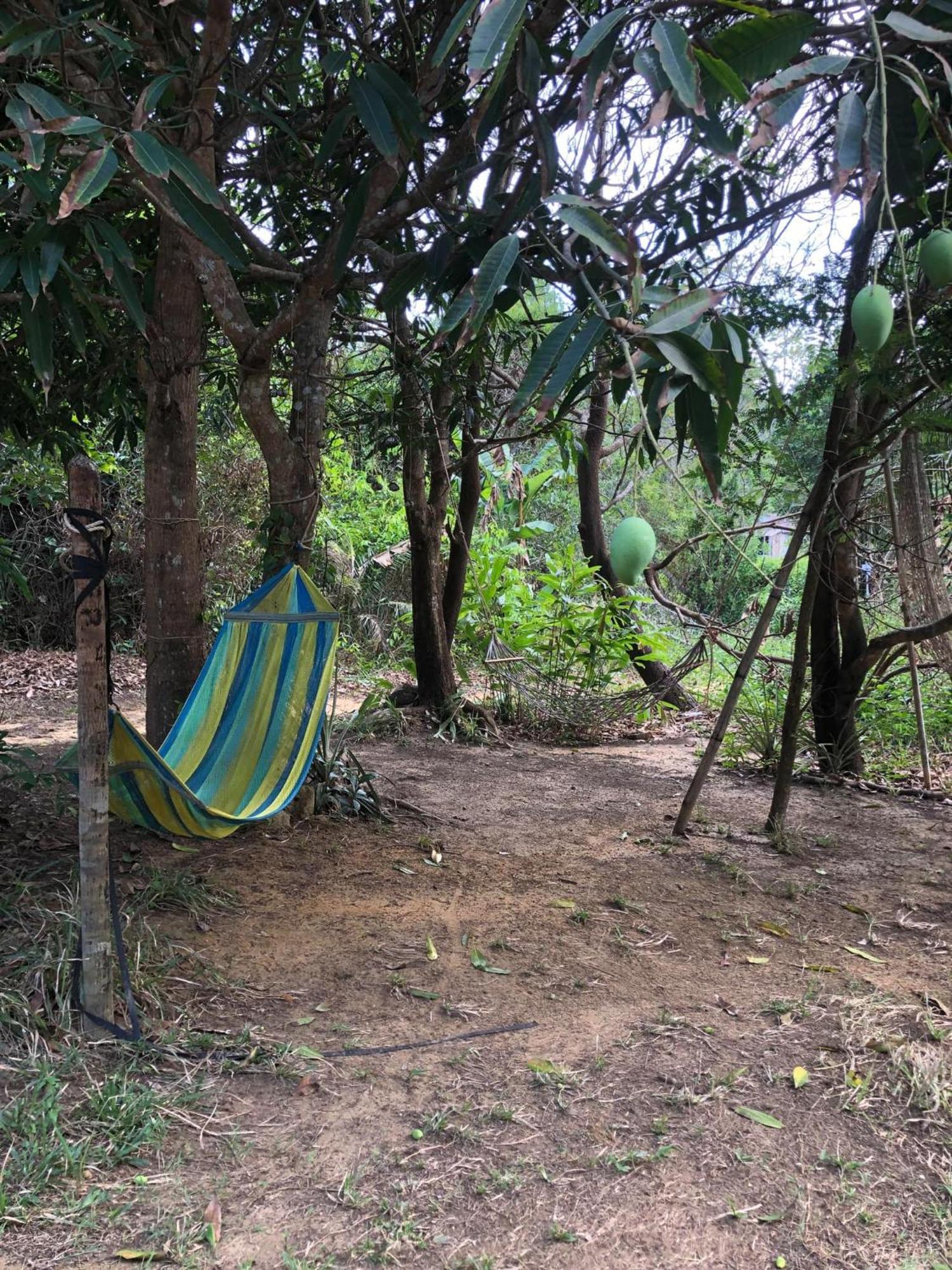 The Bonsai Hostel Koh Rong Sanloem Bagian luar foto